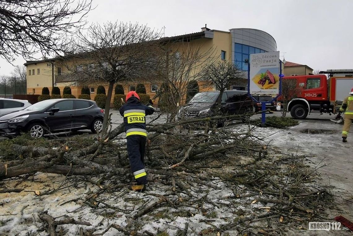 ? Wichura w regionie. Interweniują służby