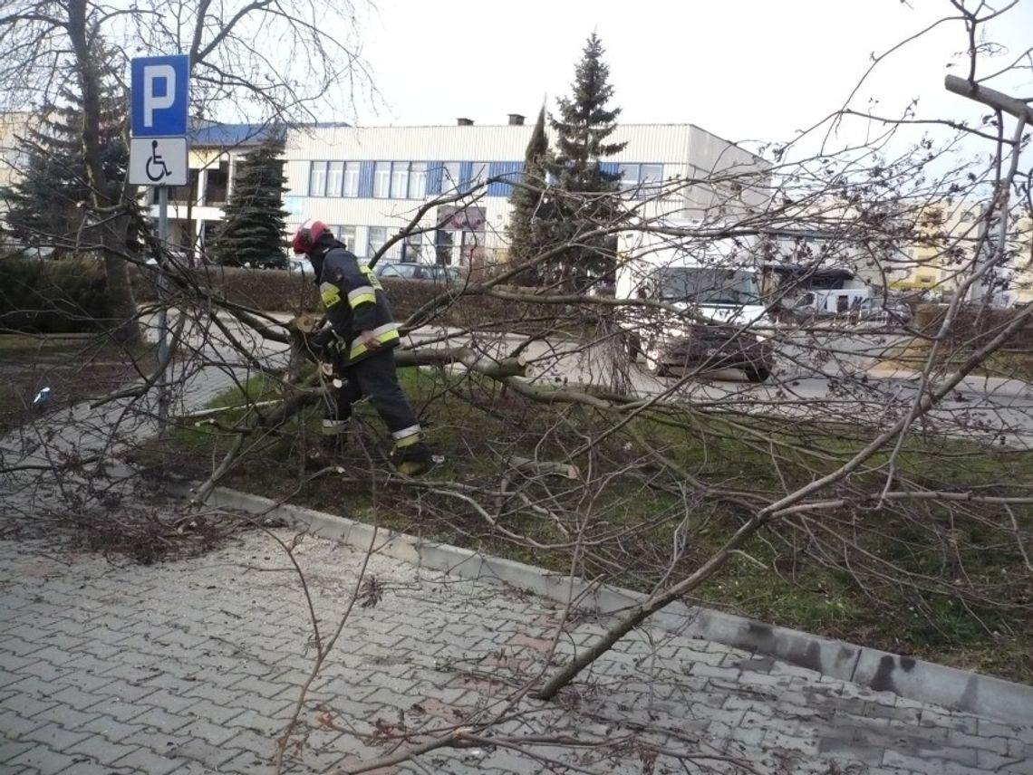 Wietrzny weekend pełen niegroźnych zdarzeń