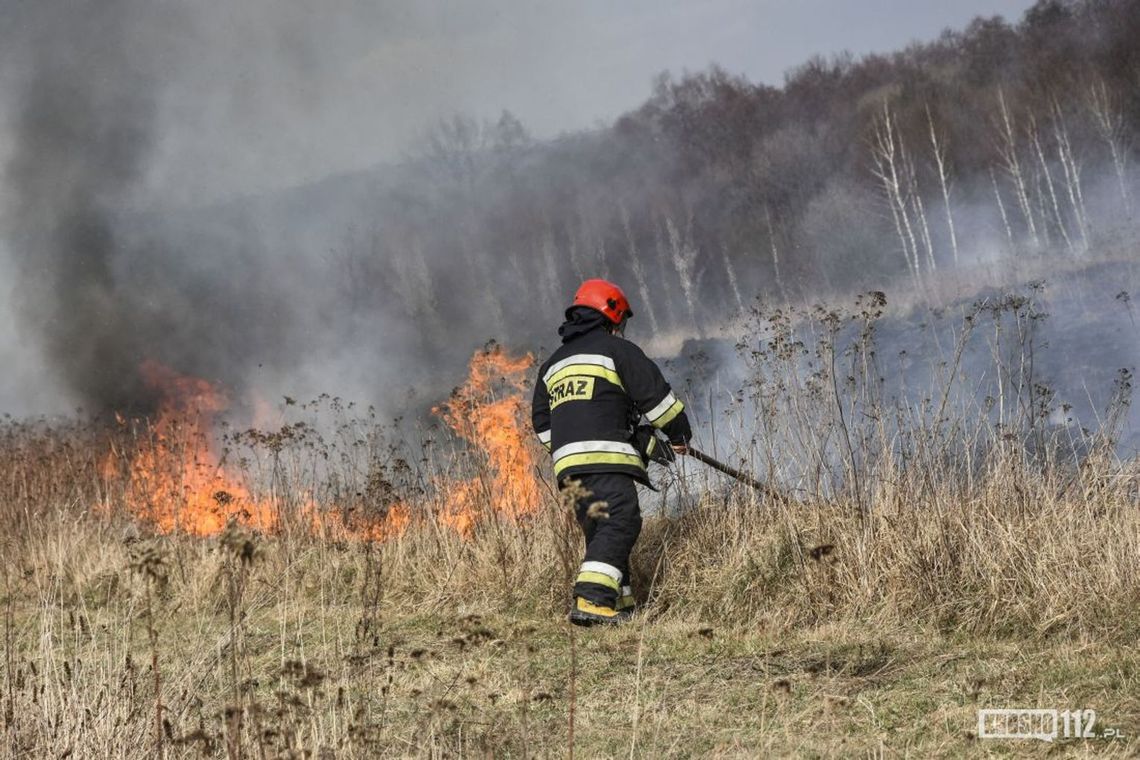 Podkarpacie. W pożarze traw zginął 84-latek