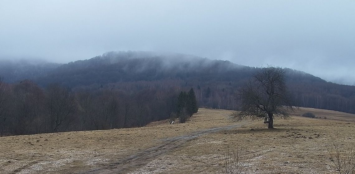 Wszystkie szlaki i ścieżki przyrodnicze w Bieszczadach są dostępne dla turystów