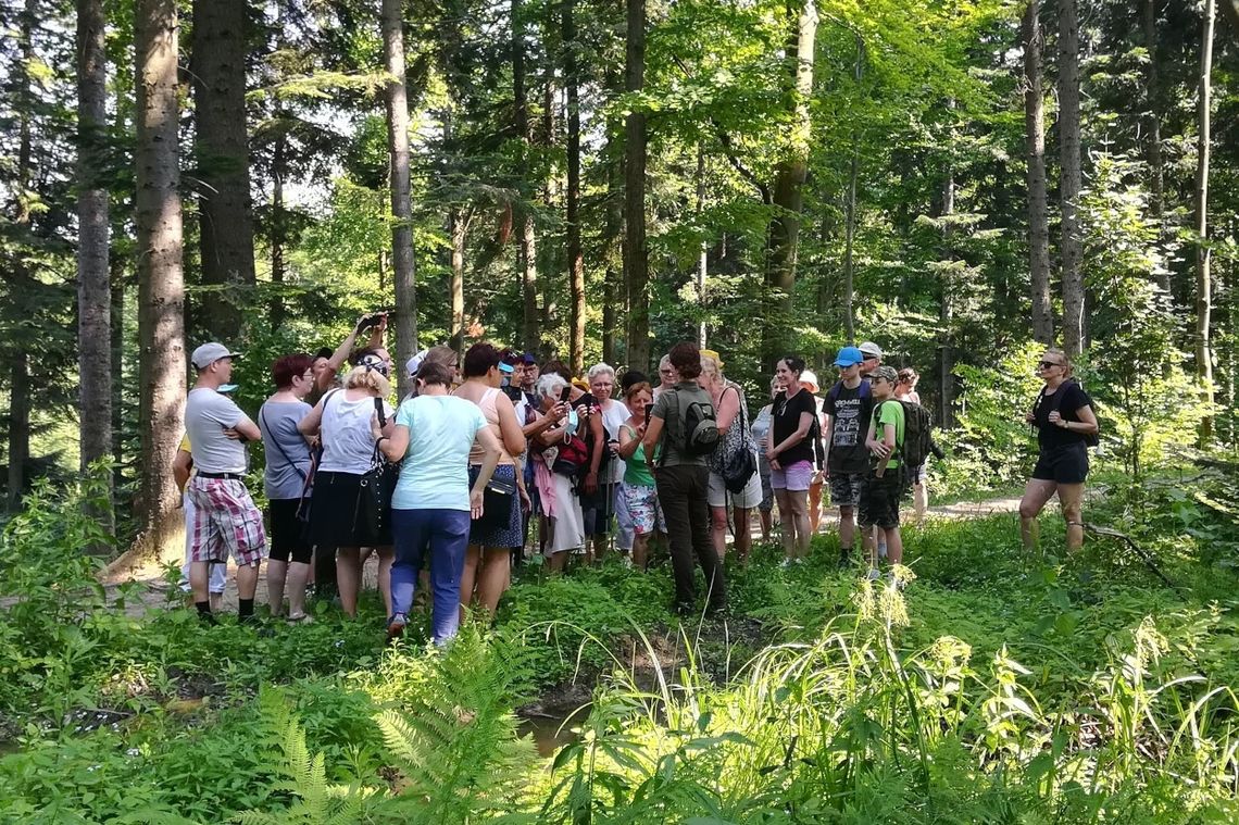 Wycieczki z leśnikami po iwonickich lasach cieszą się coraz większą popularnością