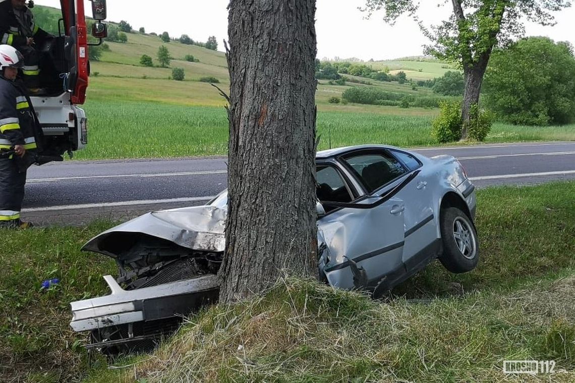? Wypadek w Rymanowie-Gniewoszówce. Samochód uderzył w drzewo