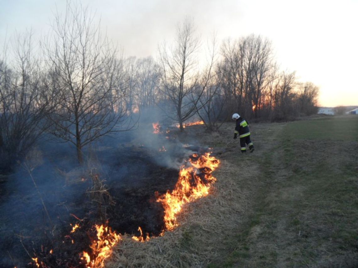 Wypalanie traw nadal plagą w naszym powiecie