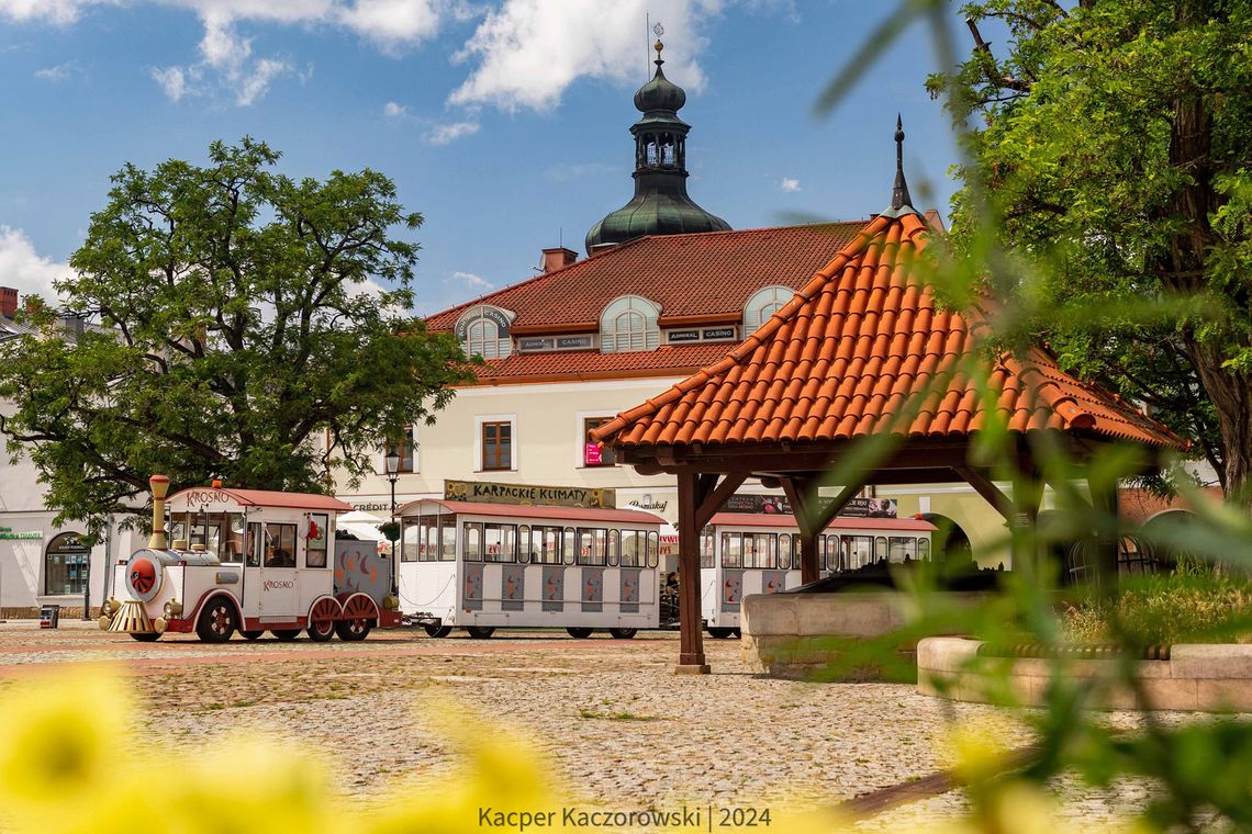 Wystartowało ponowne głosowanie w Budżecie Obywatelskim