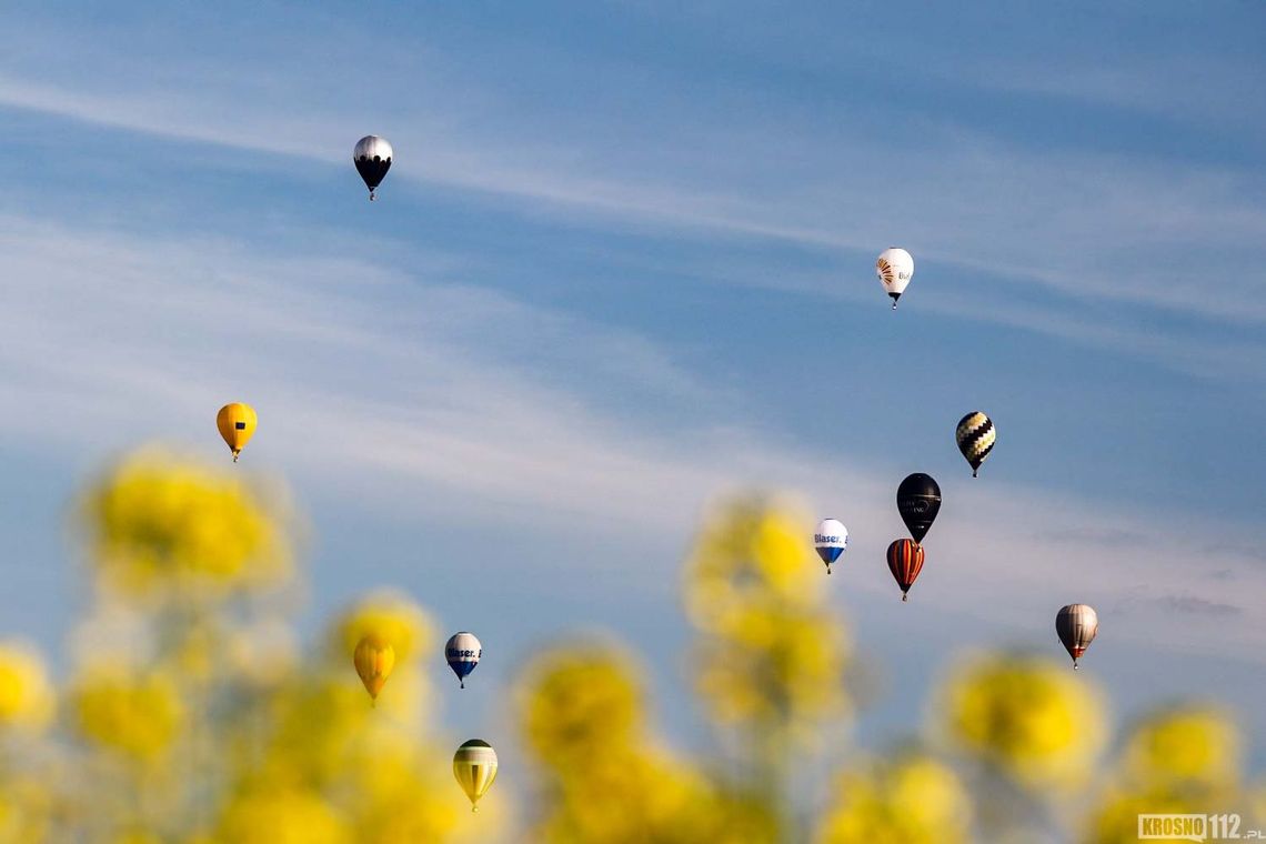 XXVI Balonowe Mistrzostwa Świata w Krośnie. Strefa kibica przy hali MOSiR XXVI Balonowe Mistrzostwa Świata w Krośnie. Strefa kibica przy hali MOSiR