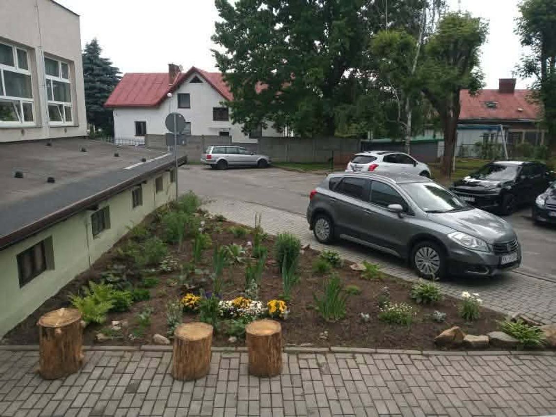 Z Dziennego Domu Senior+ w Krośnie skradziono pnie drzew. Placówka prosi o ich zwrot
