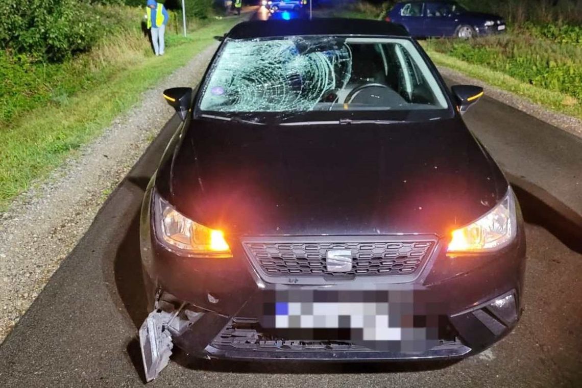 Zaczął się tragiczny sezon. Policja apeluje: odblaski mogą uratować życie