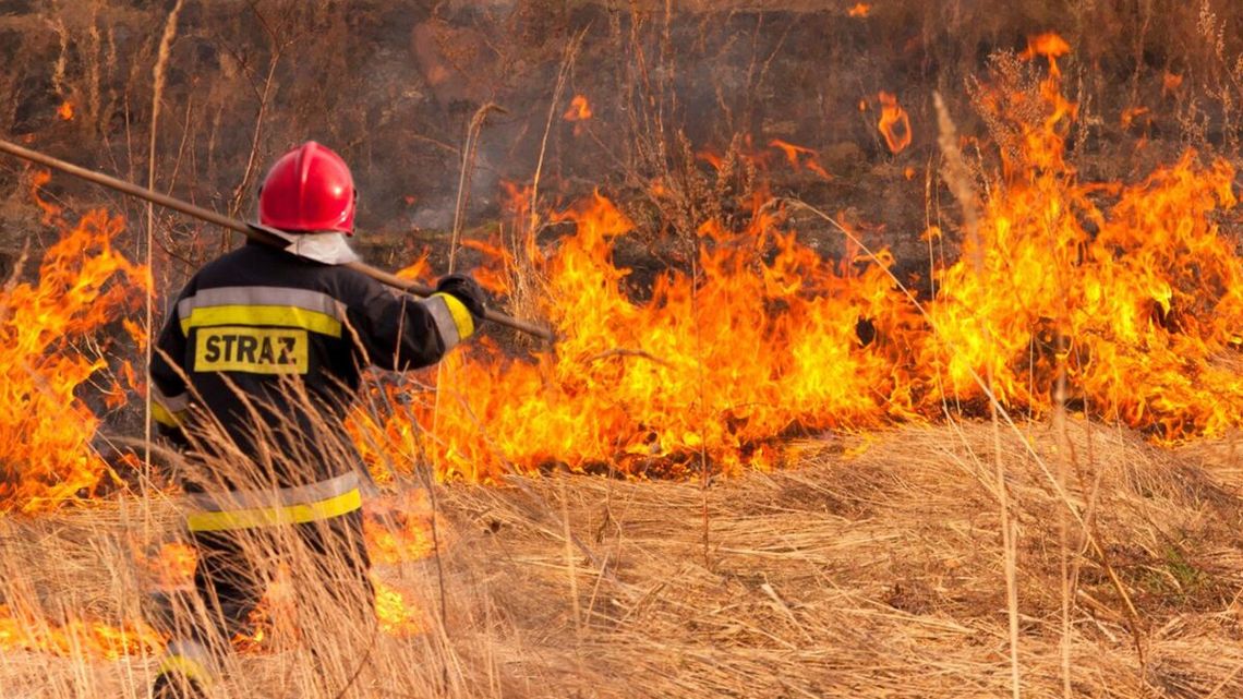 Nie odstraszają nawet wysokie kary. Za wypalanie traw grozi grzywna do 30 tys. zł!