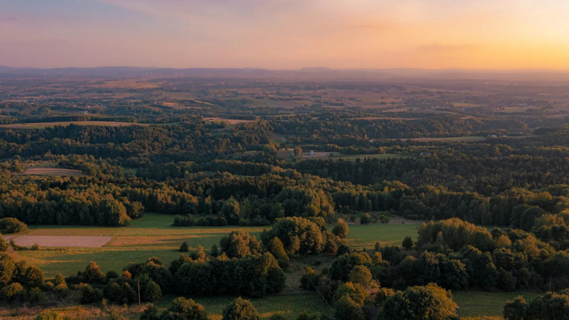 Zanurz się w Naturze: 3 najlepsze wycieczki niedaleko Krosna