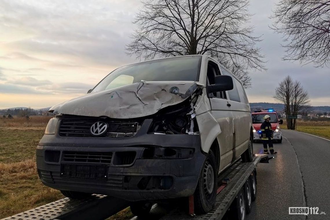 ? Zderzenie jelenia z volkswagenem. Zwierzę przeżyło i uciekło