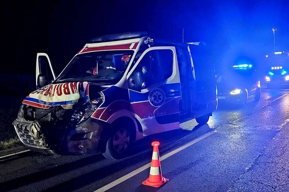 Zderzenie krośnieńskiej karetki z dziką zwierzyną pomiędzy Zarszynem a Beskiem