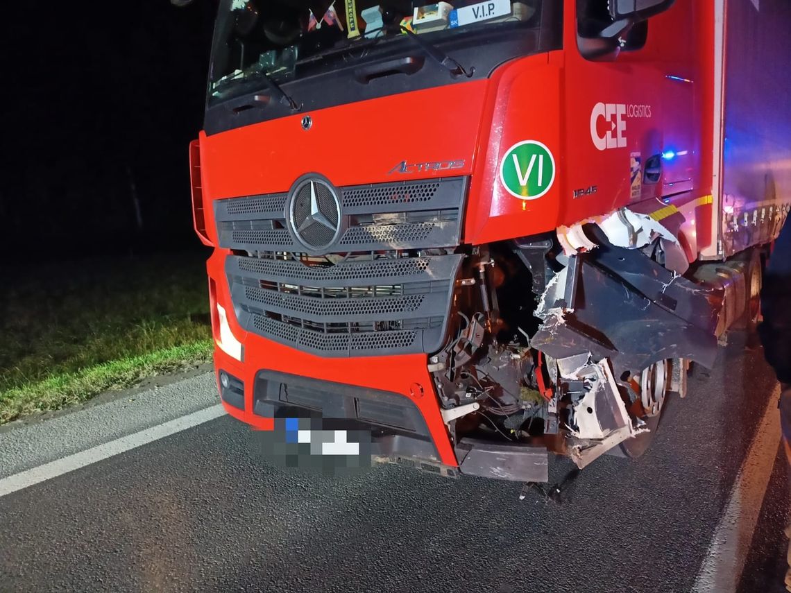 Zderzenie zestawu pojazdów z dzikim zwierzęciem w Nowej Wsi [AKTUALIZACJA]