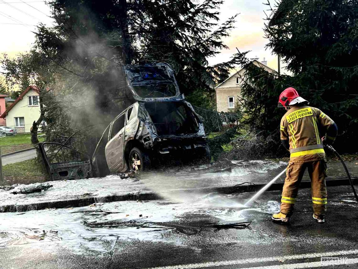 Zjechał z drogi wprost na drzewo. Renault się zapaliło, ranny 70-latek [WIDEO, FOTO]