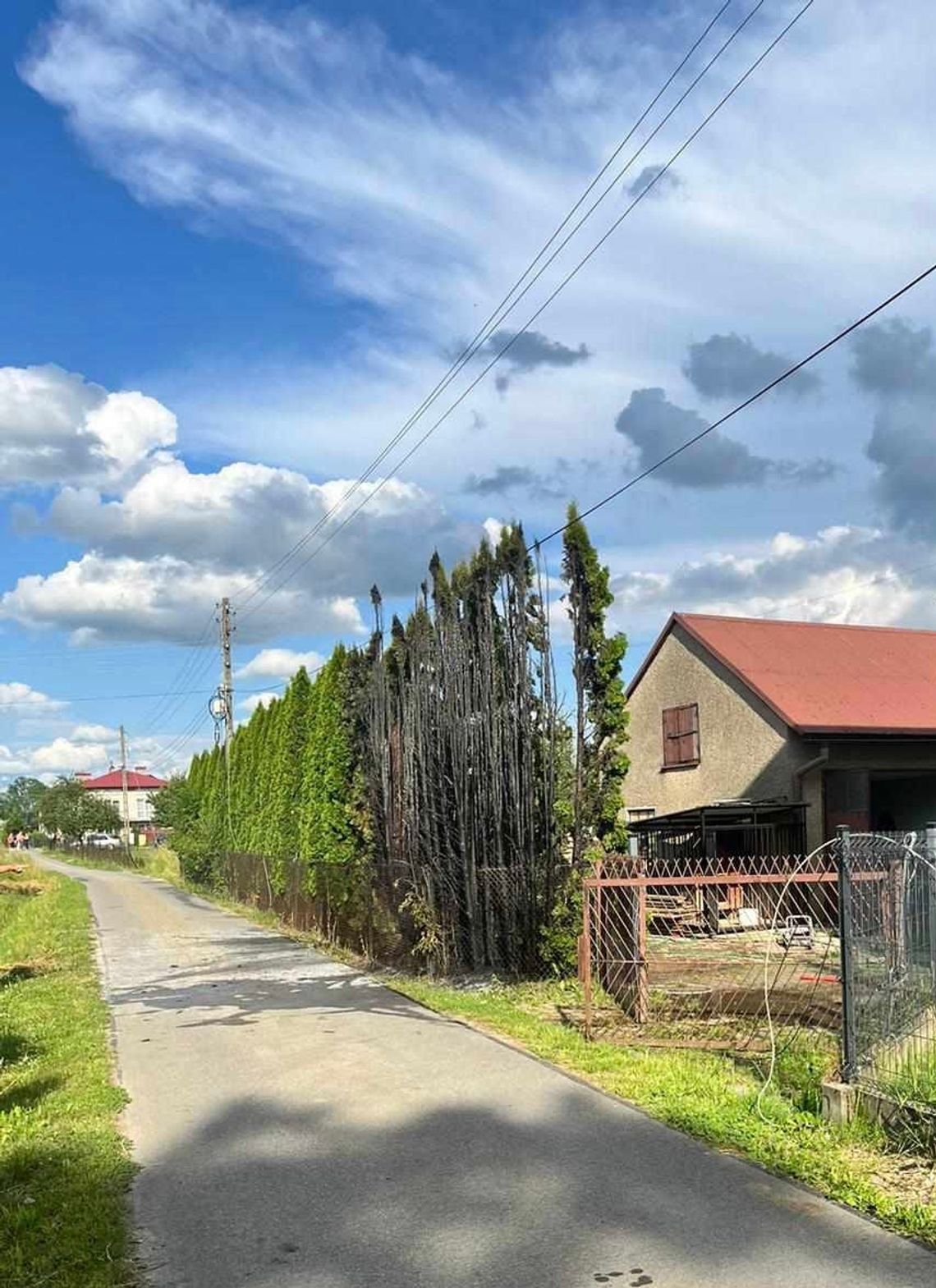 Zręcin. Pożar tui przy ulicy Stawowej