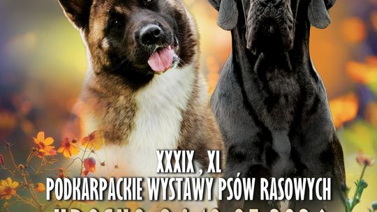 2. Wystawa Psów Rasowych w Krośnie
