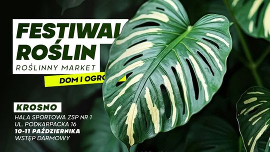 Festiwal Roślin - Roślinny Market