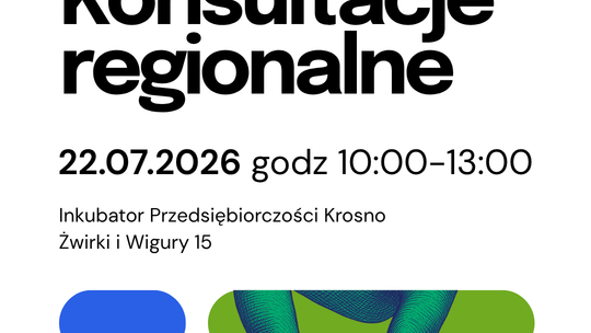 Konsultacje Strategii Rozwoju Organizacji Pozarządowych na Podkarpaciu