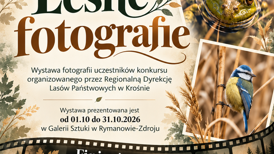 Leśne fotografie w Galerii Sztuki w Rymanowie-Zdroju