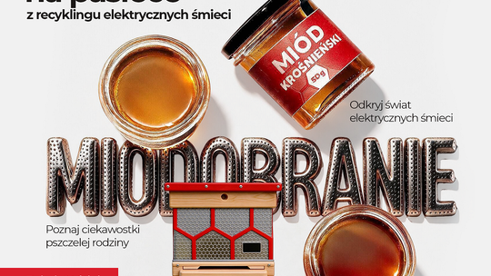 Miodobranie na pasiece z recyklingu w Krośnie