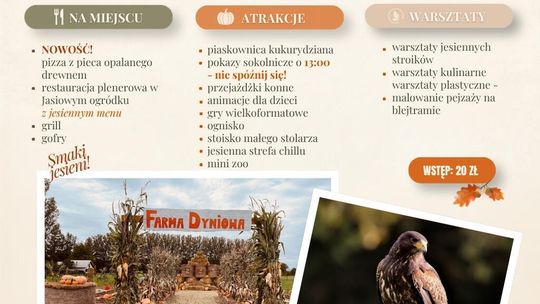 Piknik na Dyniowej Farmie