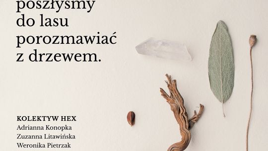 W sobotę poszłyśmy do lasu porozmawiać z drzewem.