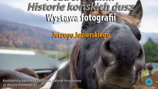 Wystawa fotografii Jerzego Jezierskiego ,,Poza słowami. Historie końskich dusz”