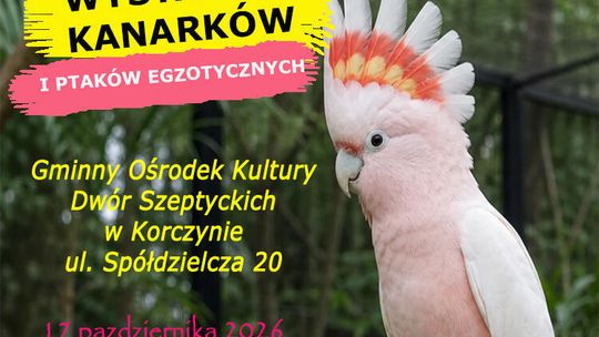 Wystawa Kanarków i Ptaków Egzotycznych w Korczynie