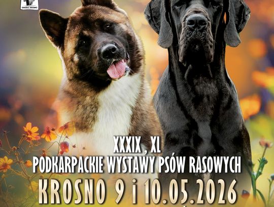 2. Wystawa Psów Rasowych w Krośnie