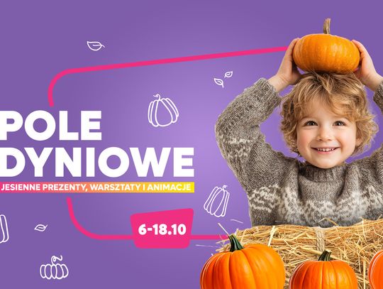 Akcja „Pole dyniowe” w VIVO! Krosno Akcja „Pole dyniowe” w VIVO! Krosno