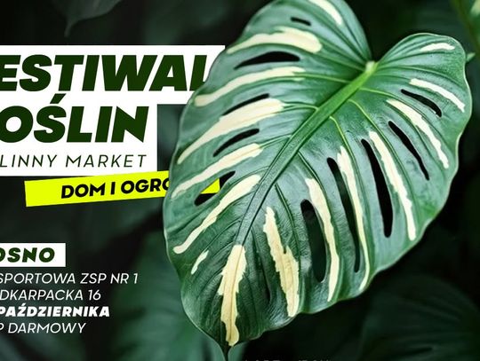 Plakat Festiwalu Roślin w Krośnie z dużym liściem monstery na ciemnym tle