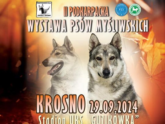 II Podkarpacka Wystawa Psów Myśliwskich