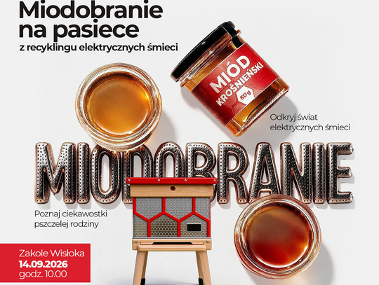 Miodobranie na pasiece z recyklingu w Krośnie
