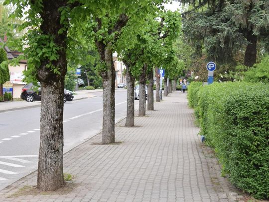 Przywiązani do Wiązów