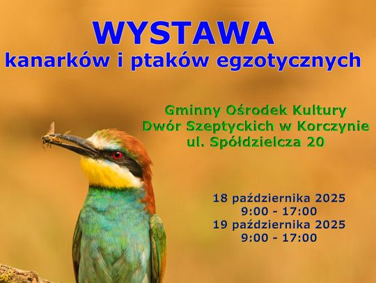 Wystawa kanarków i ptaków egzotycznych w Korczynie