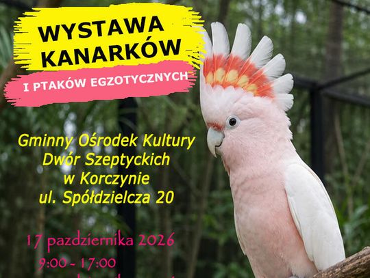 Wystawa Kanarków i Ptaków Egzotycznych w Korczynie