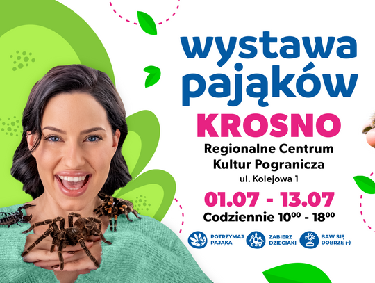 Wystawa pająków w Regionalnym Centrum Kultur Pogranicza