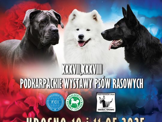 Wystawa Psów Rasowych Wystawa Psów Rasowych