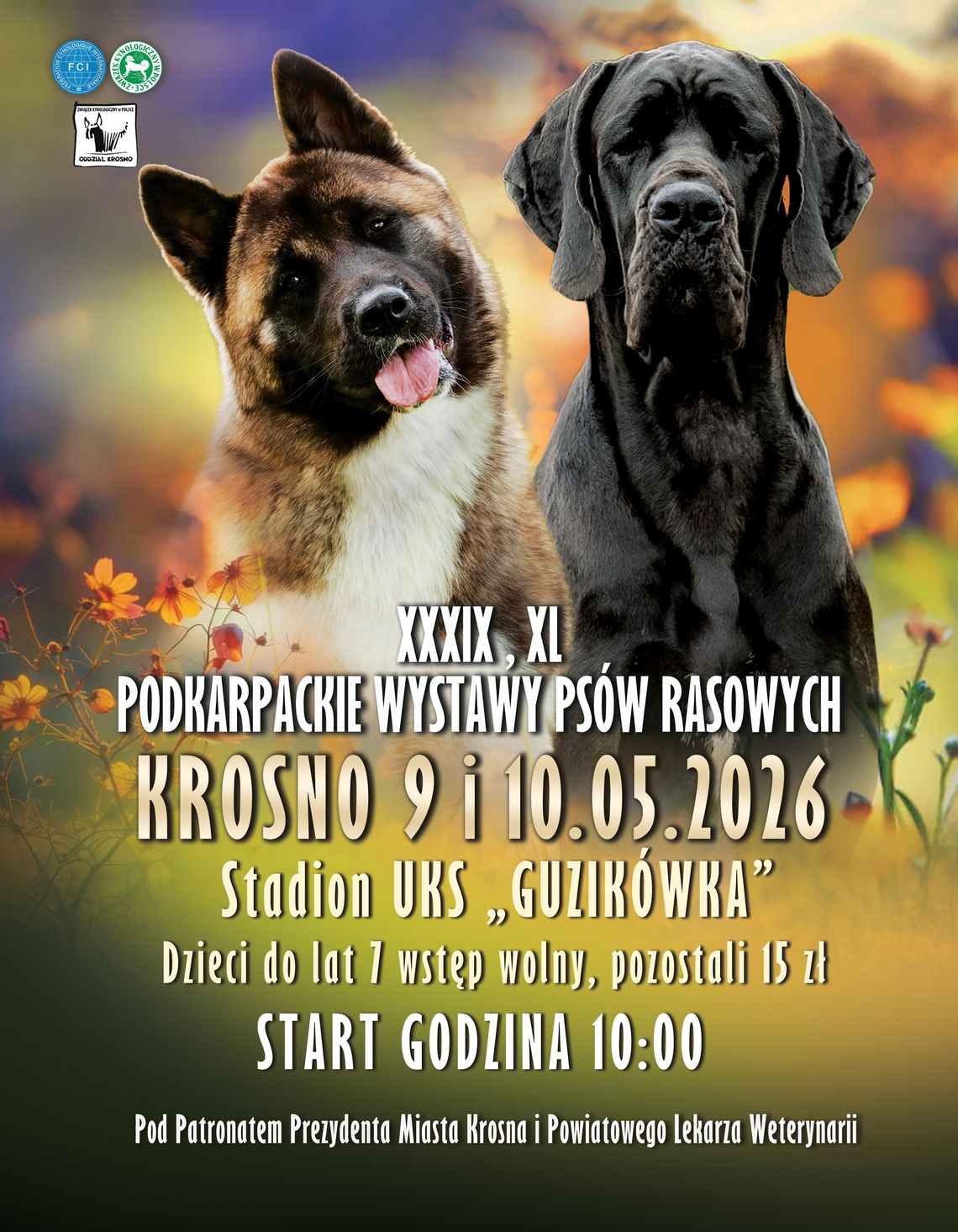 2. Wystawa Psów Rasowych w Krośnie