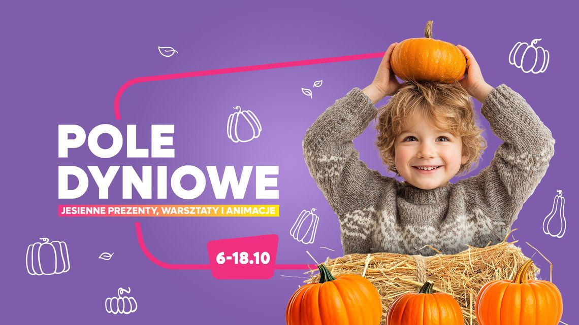 Akcja „Pole dyniowe” w VIVO! Krosno