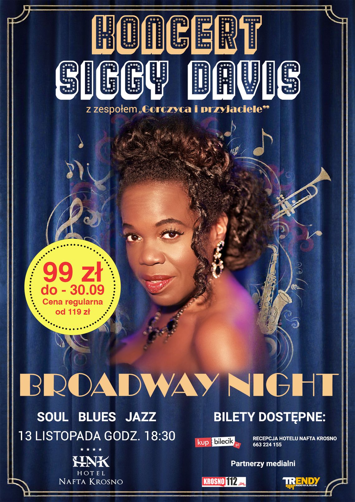 Plakat koncertu Siggy Davis