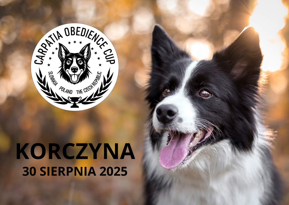 Carpatia Obedience Cup 2025 w Korczynie Carpatia Obedience Cup 2025 w Korczynie