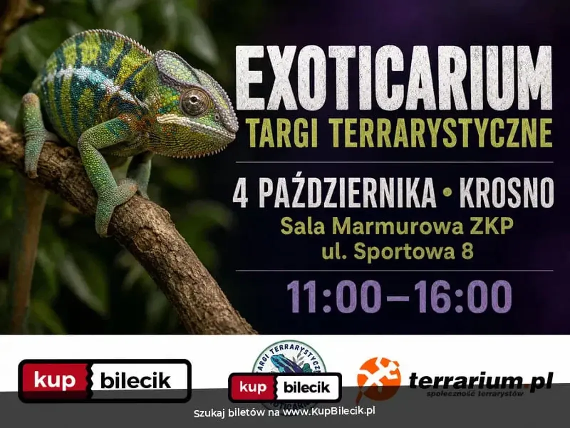 Exoticarium - Targi Terrarystyczne Plakat wydarzenia Exoticarium - Targi Terrarystyczne w Krośnie z kameleonem na gałęzi