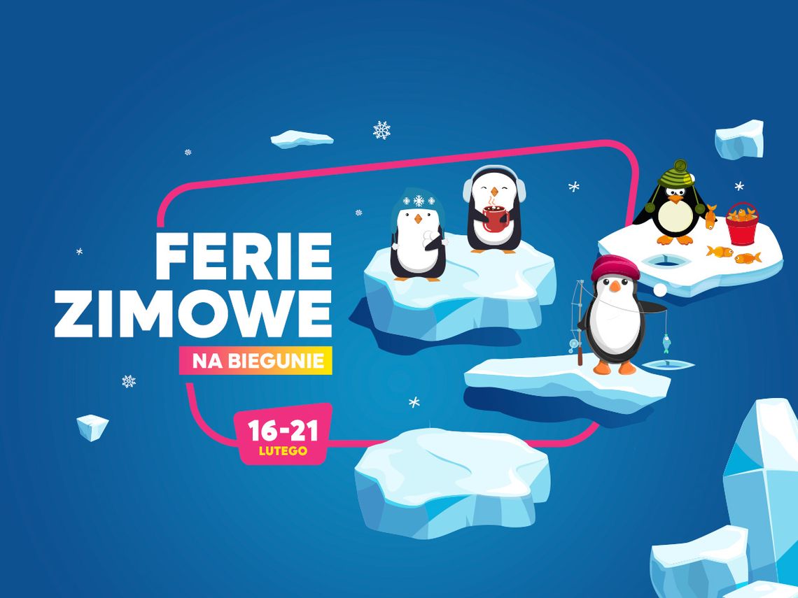 Ferie zimowe na Biegunie w VIVO! Krosno