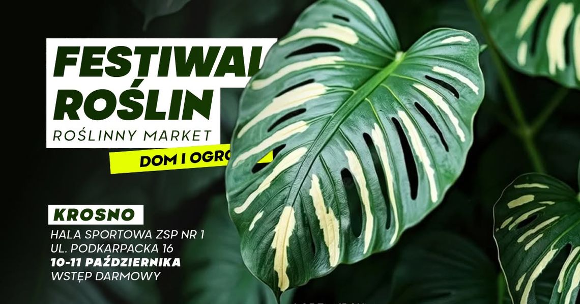 Festiwal Roślin - Roślinny Market Plakat Festiwalu Roślin w Krośnie z dużym liściem monstery na ciemnym tle