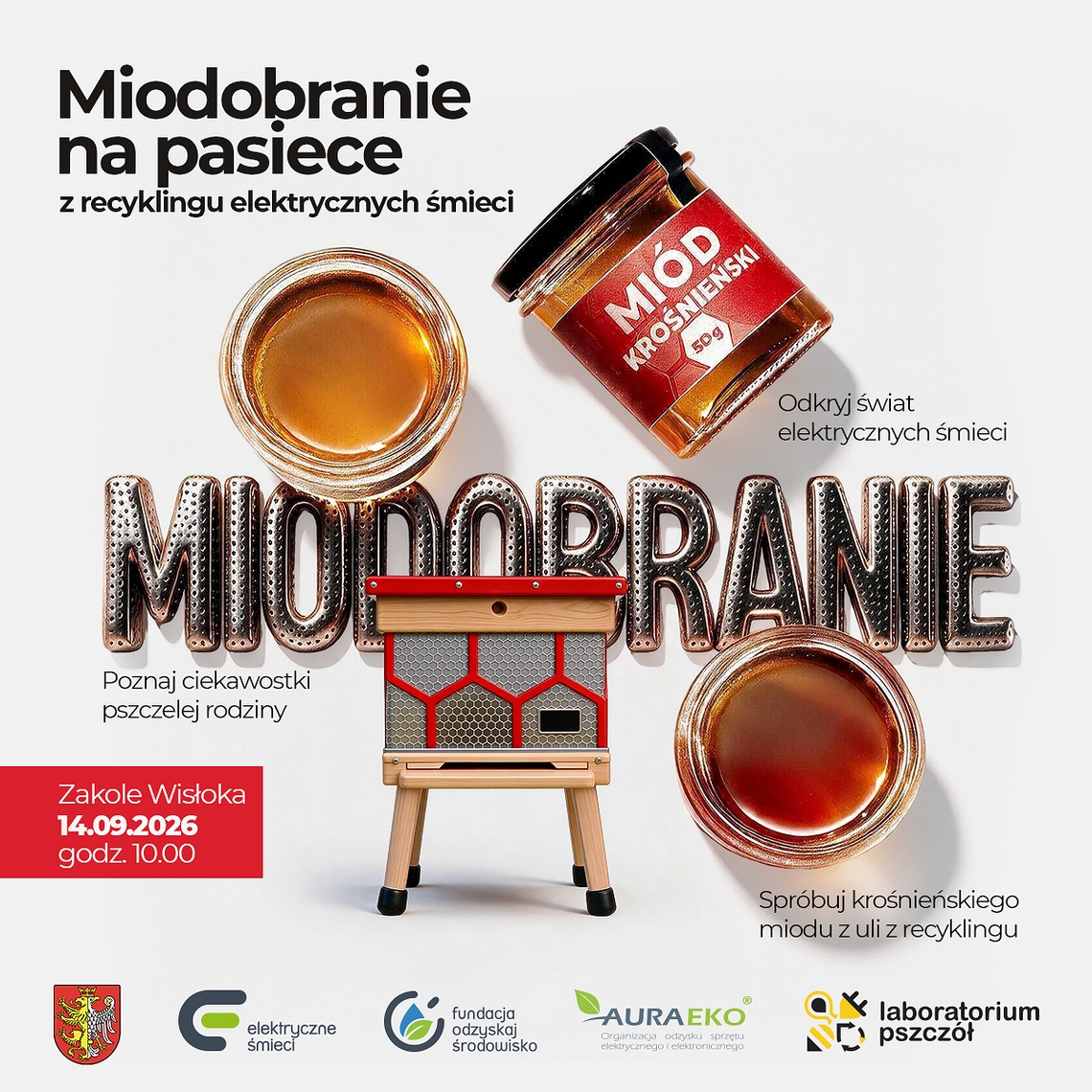 Miodobranie na pasiece z recyklingu w Krośnie Miodobranie na pasiece z recyklingu w Krośnie