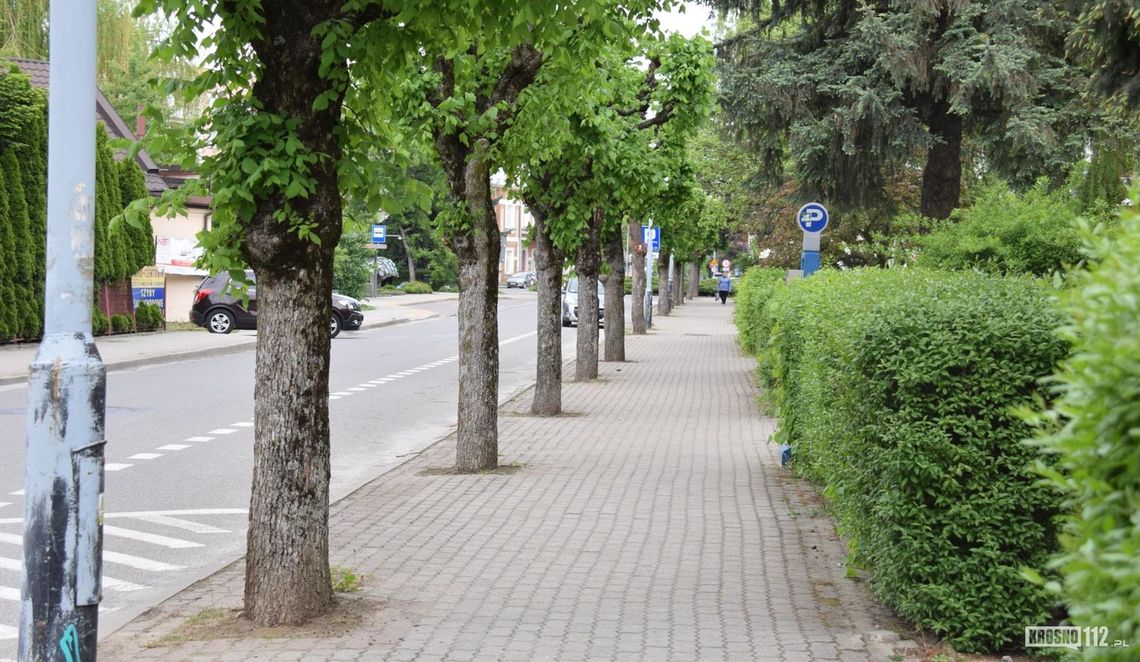 Przywiązani do Wiązów Przywiązani do Wiązów