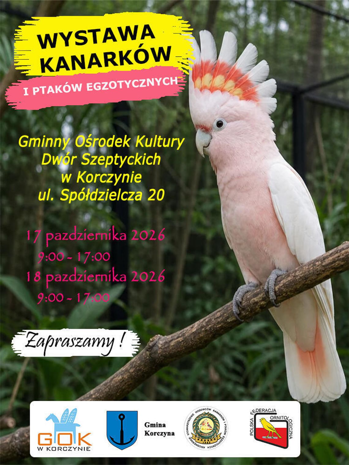 Wystawa Kanarków i Ptaków Egzotycznych w Korczynie Wystawa Kanarków i Ptaków Egzotycznych w Korczynie