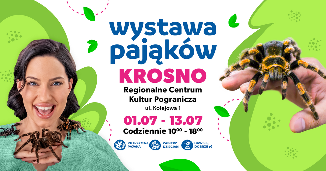 Wystawa pająków w Regionalnym Centrum Kultur Pogranicza Wystawa pająków w Regionalnym Centrum Kultur Pogranicza