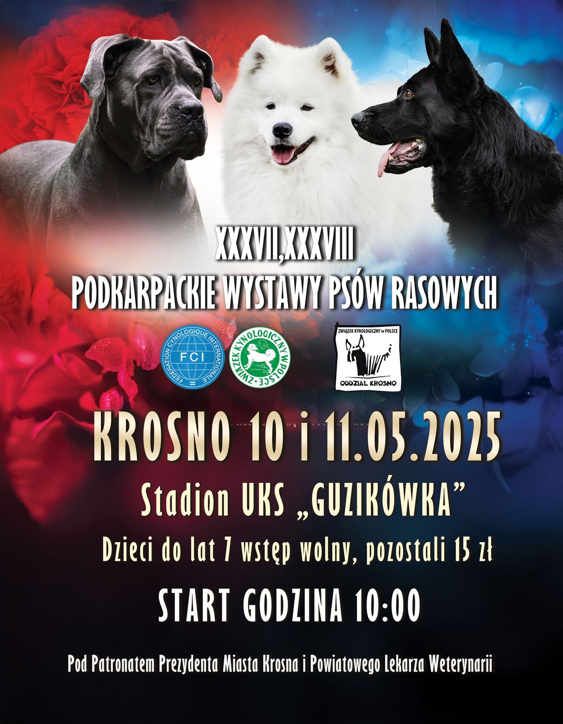 Wystawa Psów Rasowych Wystawa Psów Rasowych
