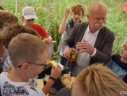 Miód z uli z recyklingu. Tegoroczne miodobranie w Zakolu Wisłoka
